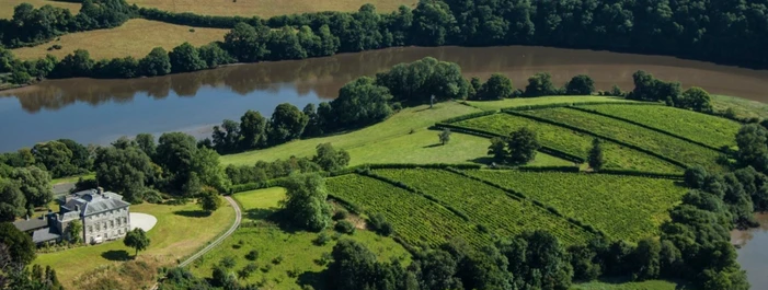 Vineyards Devon